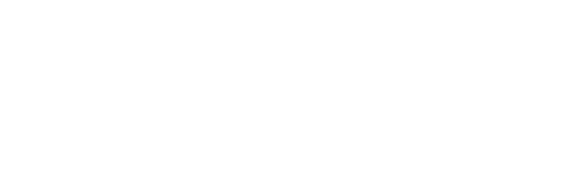 strikewerx white logo