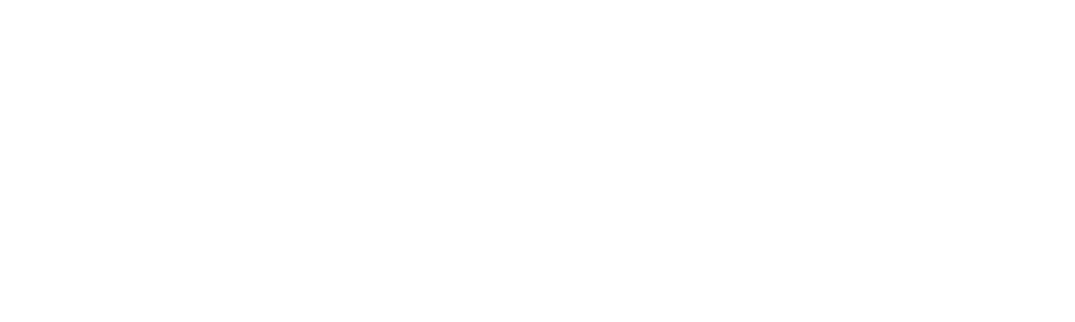strikewerx white logo